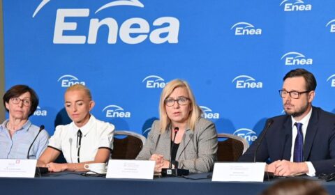 Ogromne pieniądze na budowę sieci. Będzie miejsce na dodatkowe 3 GW mocy w OZE