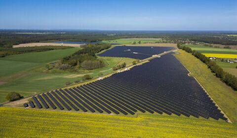 Nowe farmy PV o mocy 251 MW uruchomione w Polsce. Ranking liderów