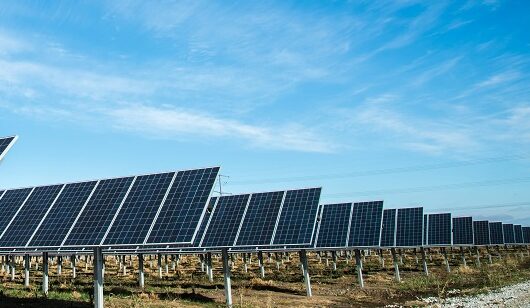 TotalEnergies uruchomił swoją największą elektrownię PV w Europie