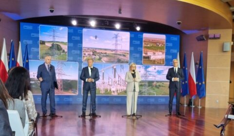 Ogromna pożyczka dla PSE na rozbudowę linii elektroenergetycznych w Polsce