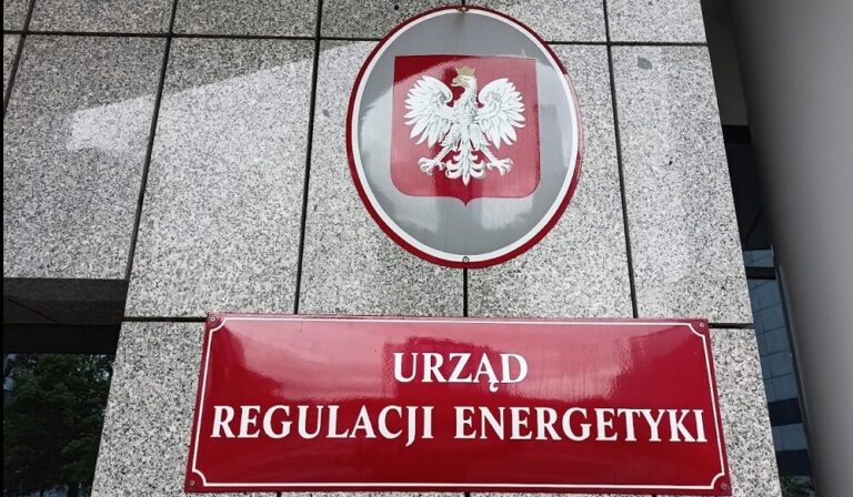 Małe zainteresowanie umowami z ceną dynamiczną wśród odbiorców energii w Polsce