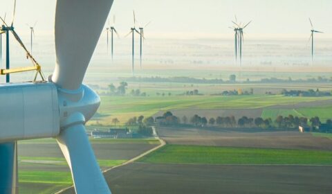 Opolszczyzna rośnie w OZE. Nowa farma wiatrowa w rozwoju