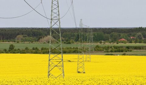 Ponad 120 mln zł inwestycji w sieć elektroenergetyczną na obszarze Enei