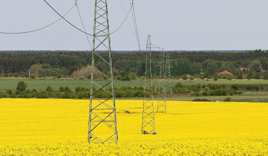 Ponad 120 mln zł inwestycji w sieć elektroenergetyczną na obszarze Enei