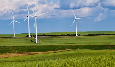 Niemcy wysadzą elektrownie wiatrowe, by zrobić miejsce na nowe