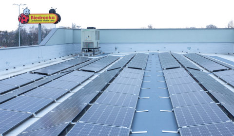 Biedronka stawia na słońce – ponad 2 tys. sklepów zasilanych energią odnawialną