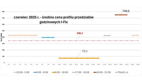Redysponowanie mocy, ceny ujemne – czy BESS to panaceum na zachowanie opłacalności farm PV - szkolenie