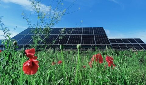 Nowe możliwości finansowania inwestycji w OZE dla przedsiębiorców z Wielkopolski