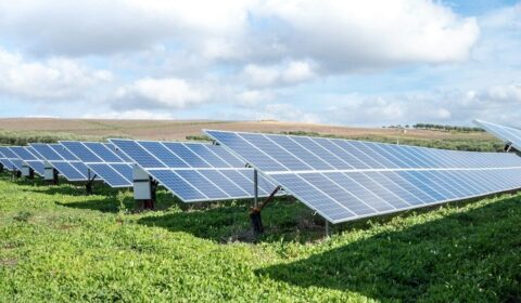 To może być największa farma PV w Polsce. Powstanie na Dolnym Śląsku