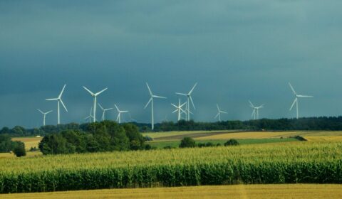 Mniej ograniczeń dla wiatraków. Poprawki Senatu przyjęte przez komisje sejmowe