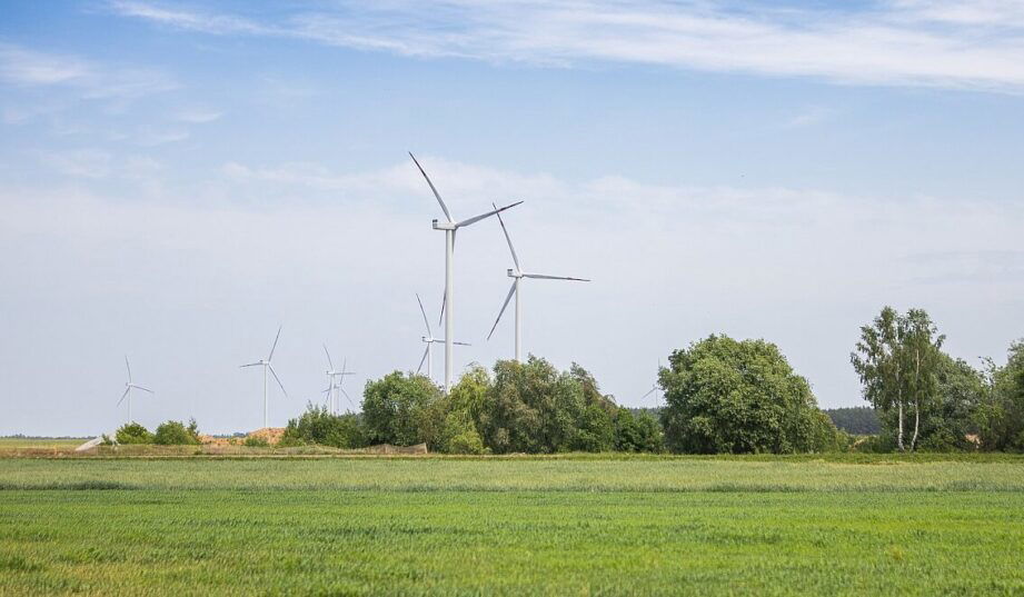 OX2 zbuduje dla siebie dużą farmę wiatrową w Polsce