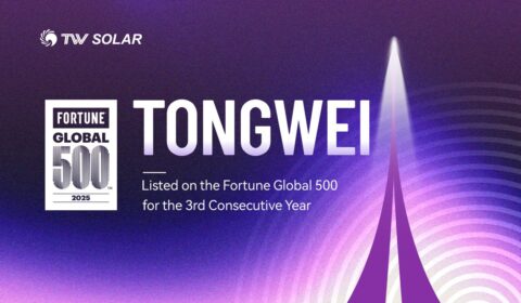 Tongwei trzeci rok z rzędu na liście Fortune Global 500 (2025)