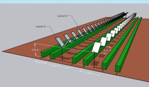 System PV w kształcie litery V - innowacja dla agrofotowoltaiki?