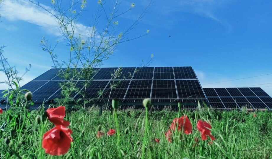 5 mln zł na wspieranie społeczności energetycznych na Mazowszu