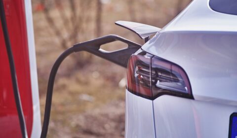 Polacy zarejestrowali więcej elektryków niż diesli