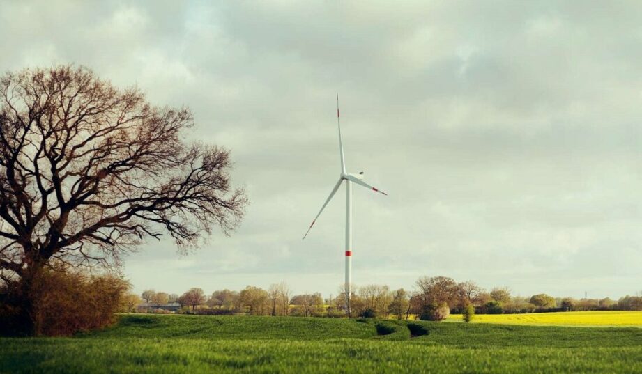 Eurowind szykuje dużą farmę wiatrową w województwie warmińsko-mazurskim