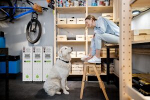 Magazyn energii Freen
