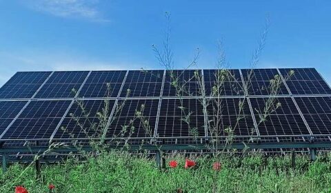 Działkowa "spółdzielnia energetyczna" - ile zaoszczędziła na rachunkach za prąd?
