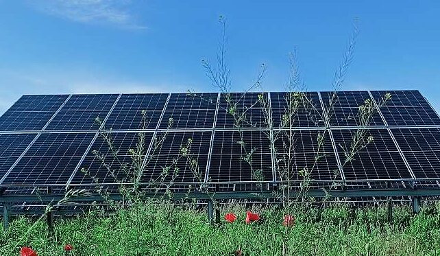 Działkowa "spółdzielnia energetyczna" - ile zaoszczędziła na rachunkach za prąd?