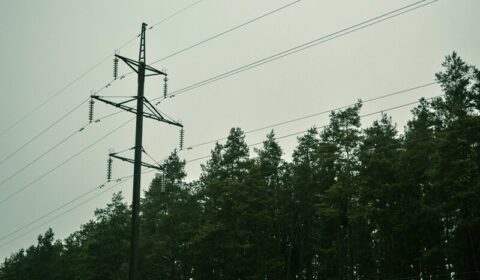Średnia cena energii w Polsce z mocną obniżką