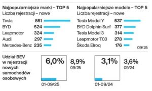 Najpopularniejsze marki samochodów elektrycznych