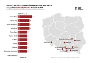 Miejscowości o najwyższym stężeniu benzo(a)pirenu w 2024 r. Miejscowości o najwyższym stężeniu benzo(a)pirenu w 2024 r.