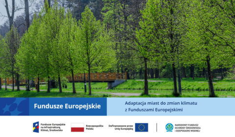 Zatrzymujemy wodę, bazując na naturze