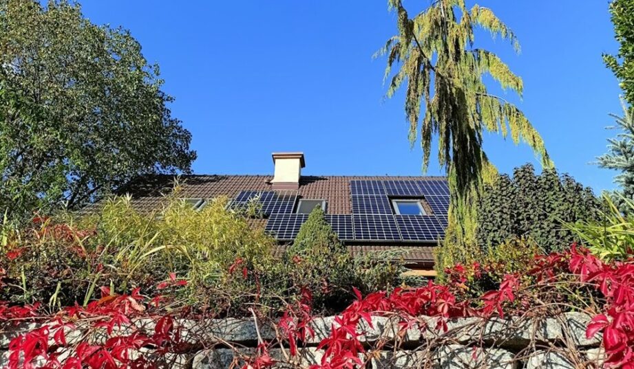 Duże wahania cen energii od prosumentów. Wieczorami nawet powyżej 1,7 zł/kWh
