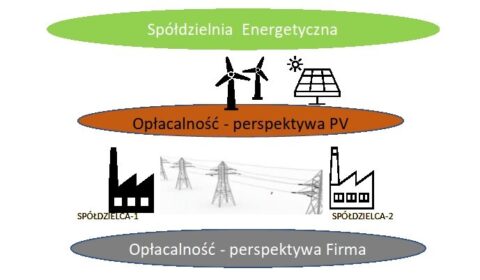 Jak liczyć opłacalność spółdzielni energetycznej – opcje dla farm PV, opcje dla firm – szkolenie z analizami