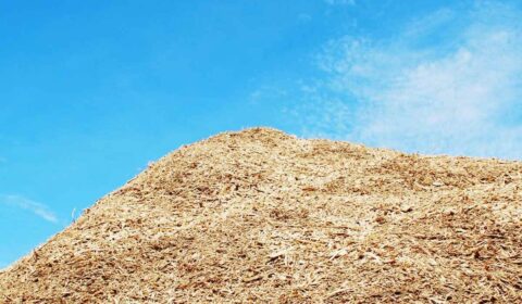 Biomasa napędza czystą energię. ResInvest Commodities wspiera transformację