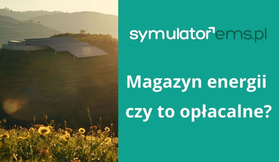 Ile zarobi magazyn energii? Sprawdzamy na Twoich danych godzinowych