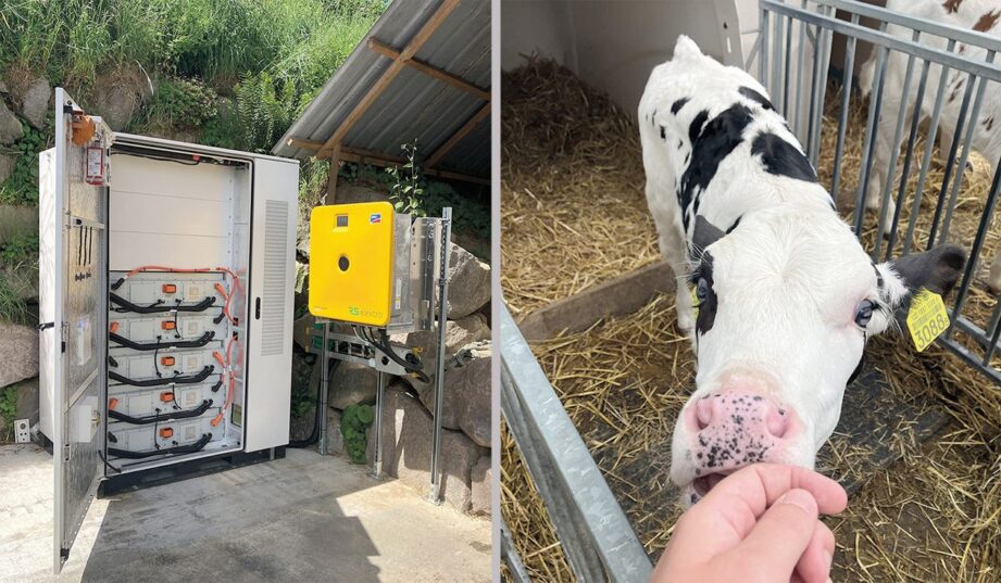 Sunny Island X – uniwersalne rozwiązanie energetyczne dla przedsiębiorstw: wydajność, bezpieczeństwo i niezależność dzięki energii słonecznej