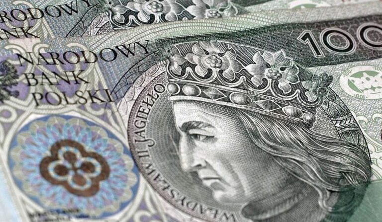 NFOŚiGW zainwestuje miliardy zł w elektromobilność i wodór. Wybrał dwa projekty