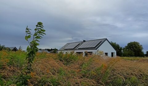 Wartość energii oddawanej do sieci przez prosumentów najwyższa od lutego 2025