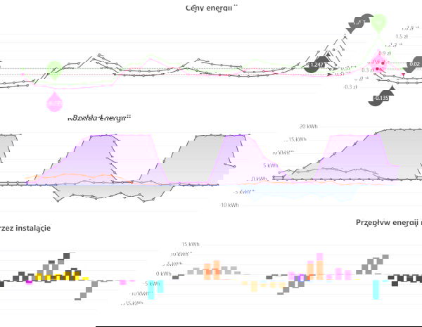 Wykresy godzinowe pokazują m.in. ceny energii, poziom zużycia, produkcji oraz strategię pracy magazynu