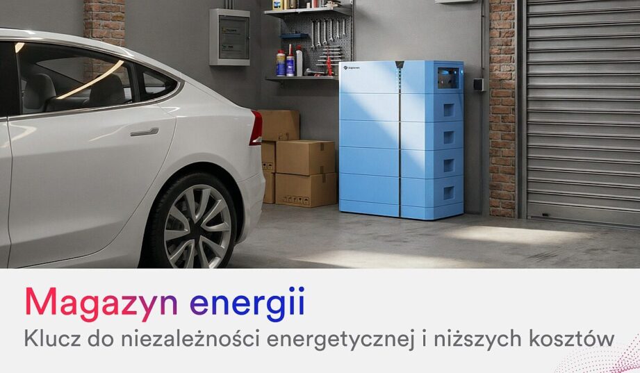Magazyn energii – klucz do niezależności energetycznej i niższych kosztów