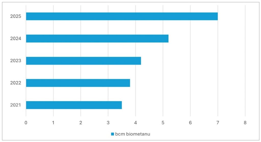 Zainstalowane moce produkcyjne biometanu w Unii Europejskiej w latach 2021–2025 [w mld m3]. Źródło: DISE za: EBA Biomethane Investment Outlook 2025