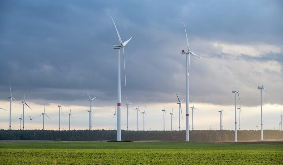 PSEW: KPEiK zahamuje rozw&oacute;j energetyki wiatrowej w Polsce