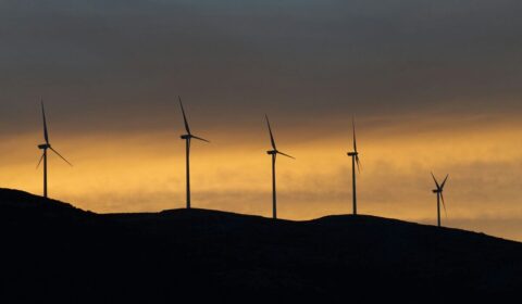 Dewelopment farm wiatrowych - szkolenie