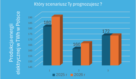 Polski rynek energii: Podsumowanie 2025 i perspektywa na 2026-2030 - szkolenie