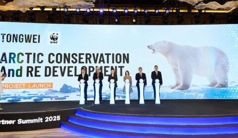Tongwei i WWF łączą siły dla Arktyki i czystej energii