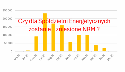 Organizowanie, opłacalność i zakładanie sp&oacute;łdzielni energetycznych - szkolenie