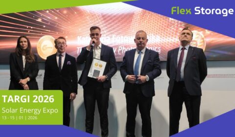 Flex Storage - dynamiczny lider rynku magazyn&oacute;w energii w Polsce