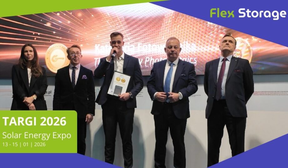 Flex Storage - dynamiczny lider rynku magazyn&oacute;w energii w Polsce