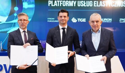 Platforma usług elastyczności powstanie na TGE