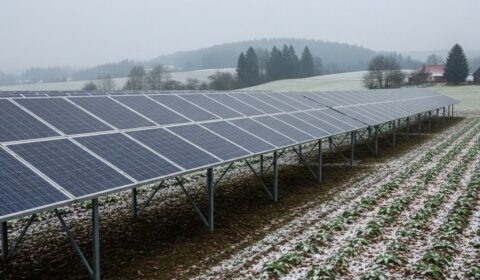 Czechy przyspieszają zieloną transformację rolnictwa. Wydadzą 300 milion&oacute;w koron na agrofotowoltaikę