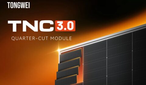 Nowa generacja moduł&oacute;w Tongwei z serii TNC 3.0 na targach ENEX 2026