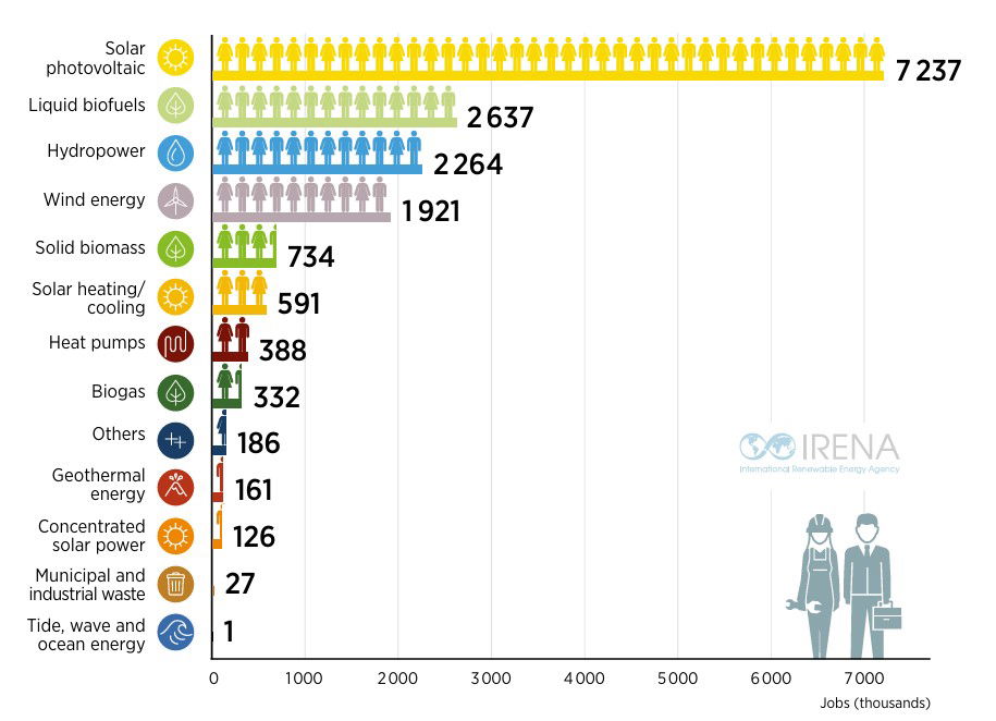 Poziom zatrudnienia w poszczególnych sektorach OZE w 2024 r. [w tys. miejsc pracy]. Źródło: IRENA