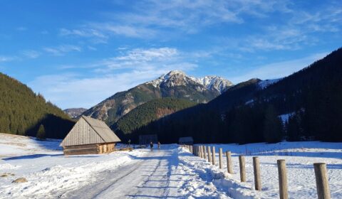 30 mln zł na zeroemisyjny transport w parkach narodowych. NFOŚiGW otwiera nab&oacute;r wniosk&oacute;w