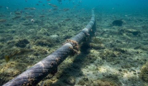 Awaria kluczowego połączenia energetycznego między Polską a Szwecją